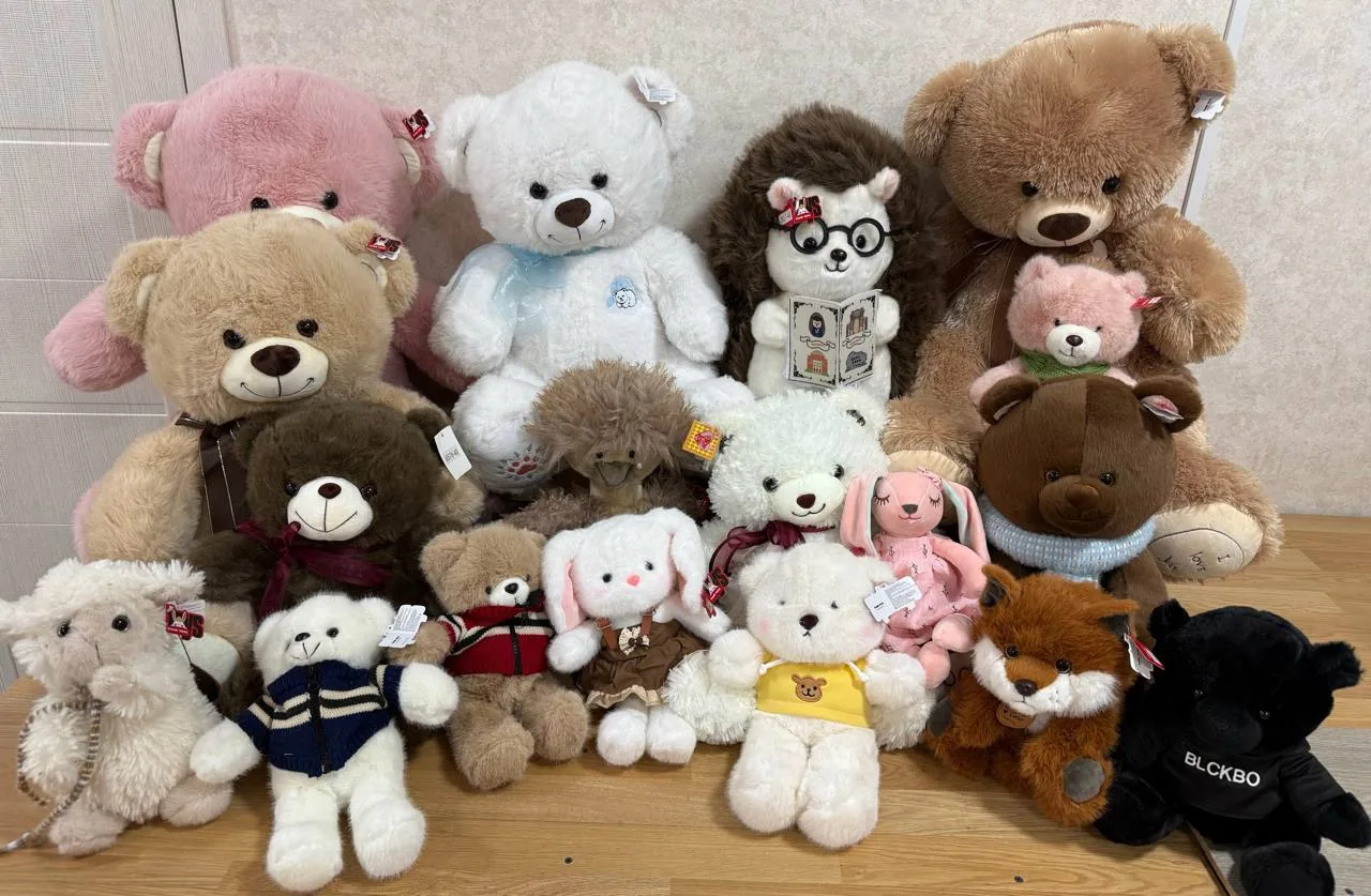 Набор из 17 игрушек 🧸
Цена :13.330₽🌸