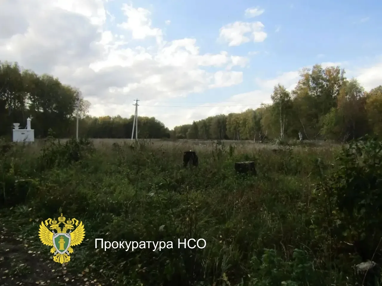 📍В Новосибирской области двое мужчин осуждены за незаконную рубку лесных насаждений  Коченевский рай