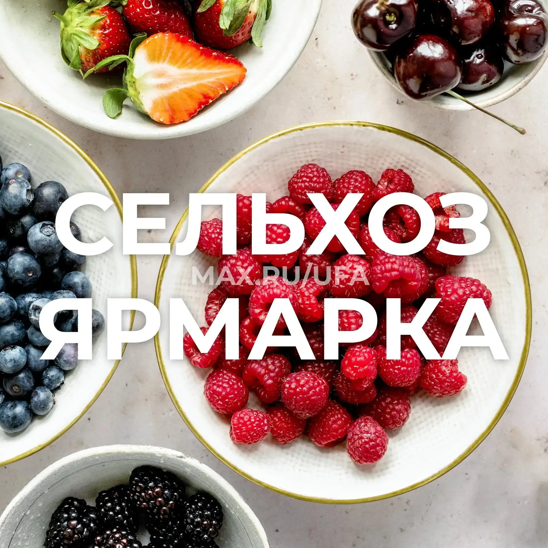 🍓 В выходные приглашаем на ярмарки

1 и 2 августа уфимцы и гости города смогут приобрести продукты 