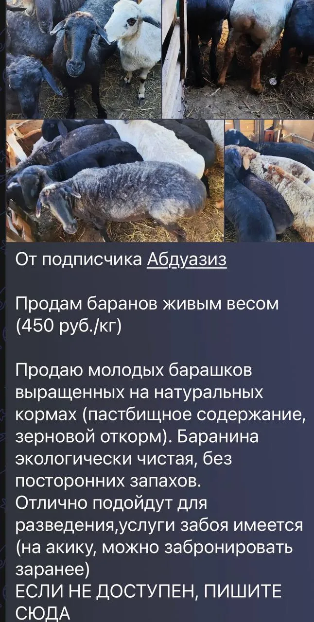Продам