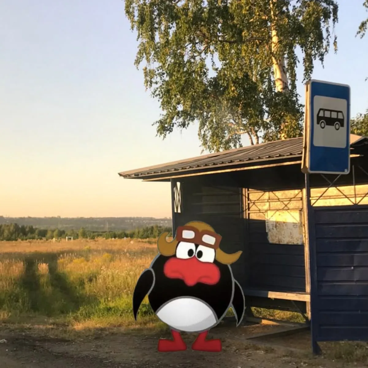 Когда автобус проехал мимо