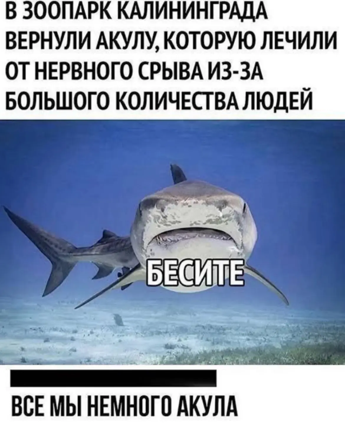 Дурилка картонная