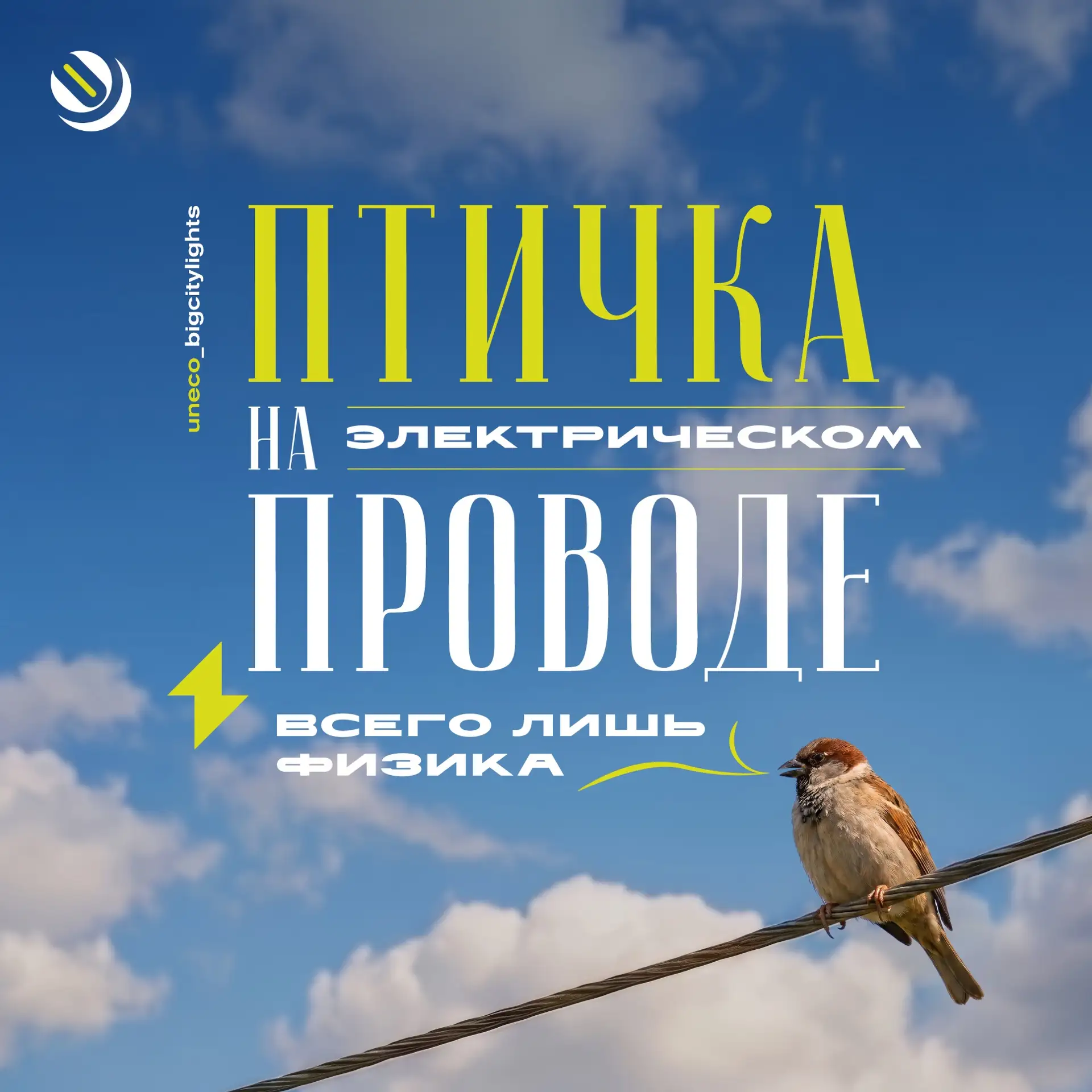 Птичка на проводах – картина привычная, но почему их не бьет током? 🤔

Нам с детства говорят: «Держ