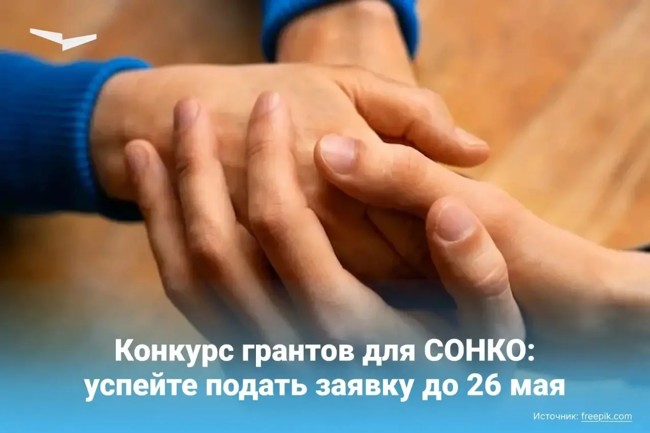 СОНКО могут получить грант на реализацию своих социально-значимых инициатив