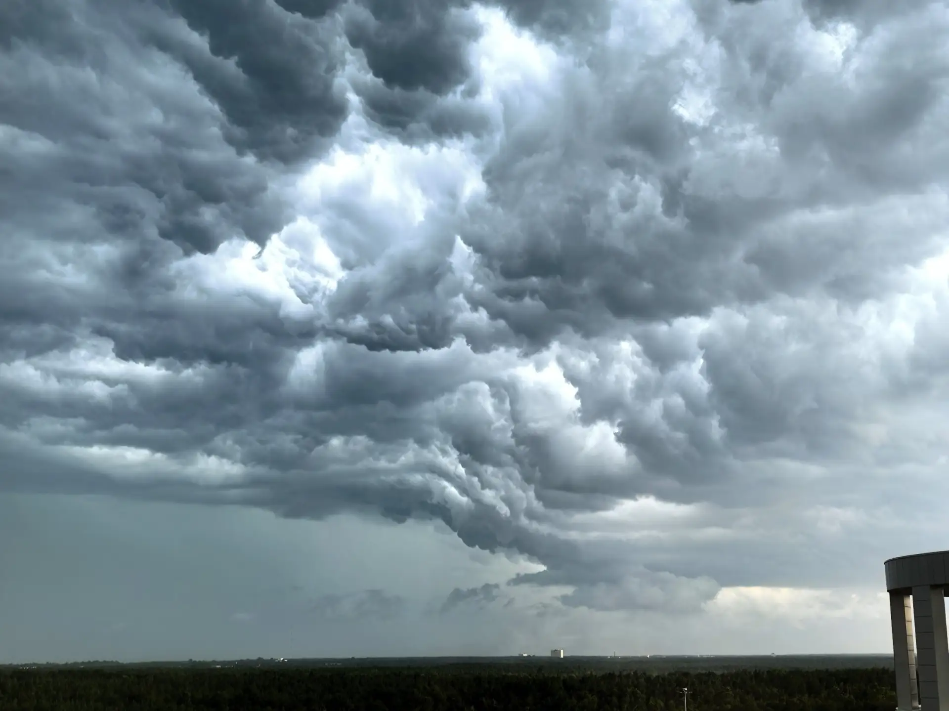 ☁️ Небесные узоры над Юнтоловским заказником!