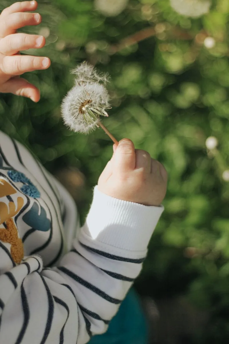 ⛅ Начинаем день с цитаты Евгения Леонова:  Человек живёт, пока умеет радоваться простым вещам и смея