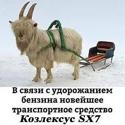 Актуалочка)