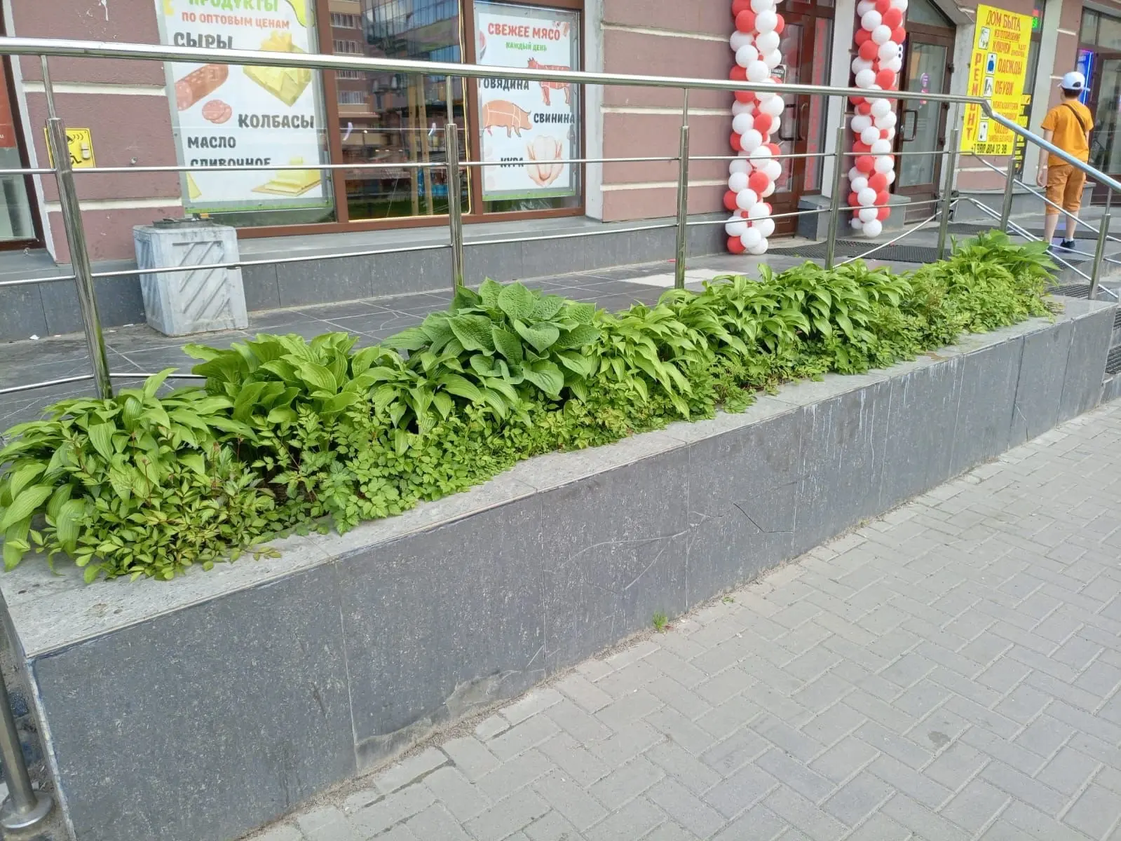 Вчера сотрудниками управляющей компании была осуществлена высадка цветочных культур на ...