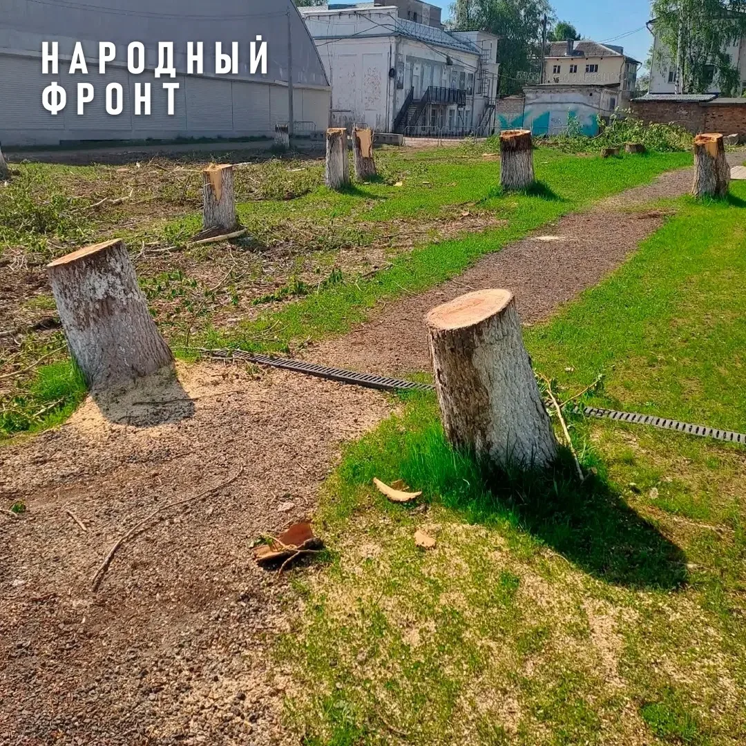 Жители Омутнинска просят остановить вырубку деревьев на улице Юных Пионеров