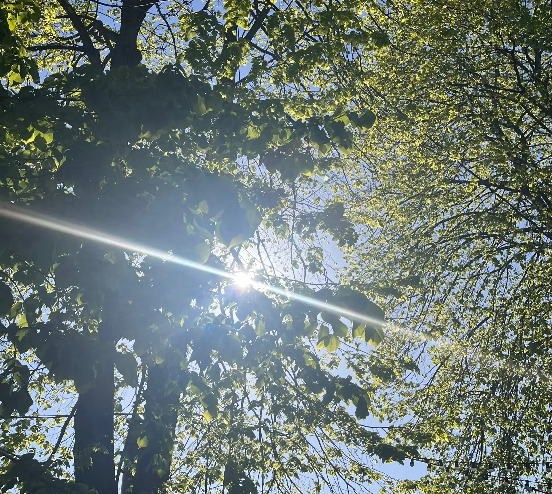 Доброе утро☀️