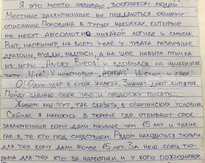 Россияне вошли в топ самых криминальных иностранцев на Пхукете — 269 уголовных дел возбудили тайские