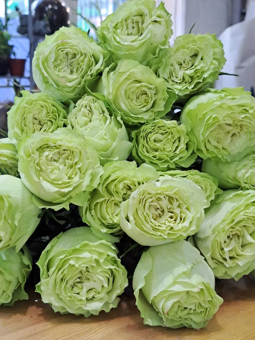 Сочные и освежающие цвета лета💐🌹🌿🪷🎀Роза Lemonade стойкая красавица вы будете очаро...