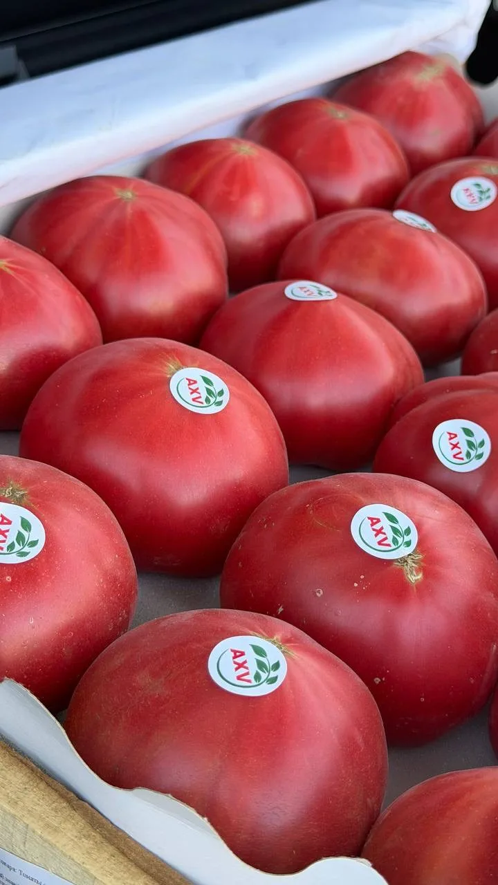 ВИТАМИННЫЙ МИКС   🍒Черешня Киргизия 🇰🇬  ▪️1 ящик ............ 1200₽ ✔️ящики 4 литра  (~1,8-2,2 кг) ✔