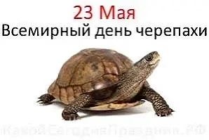Рубрика педагога-психолога Шулькевич Русланы Михайловны: «Ребятам о зверятах »