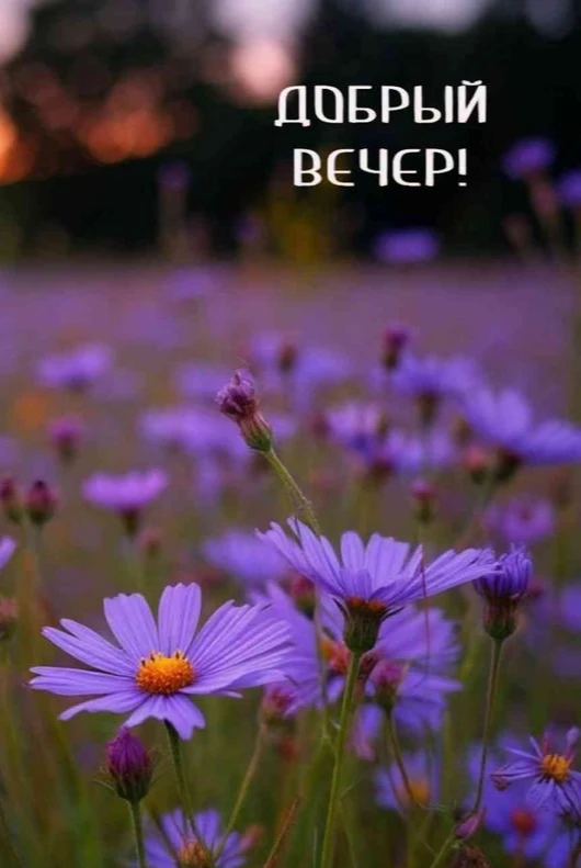 💜💜💜