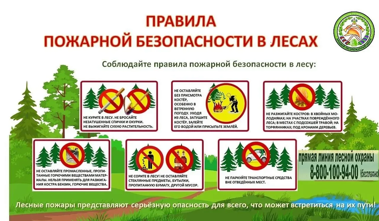 На Кубани возобновлены ограничения на пребывание граждан на землях лесного фонда
