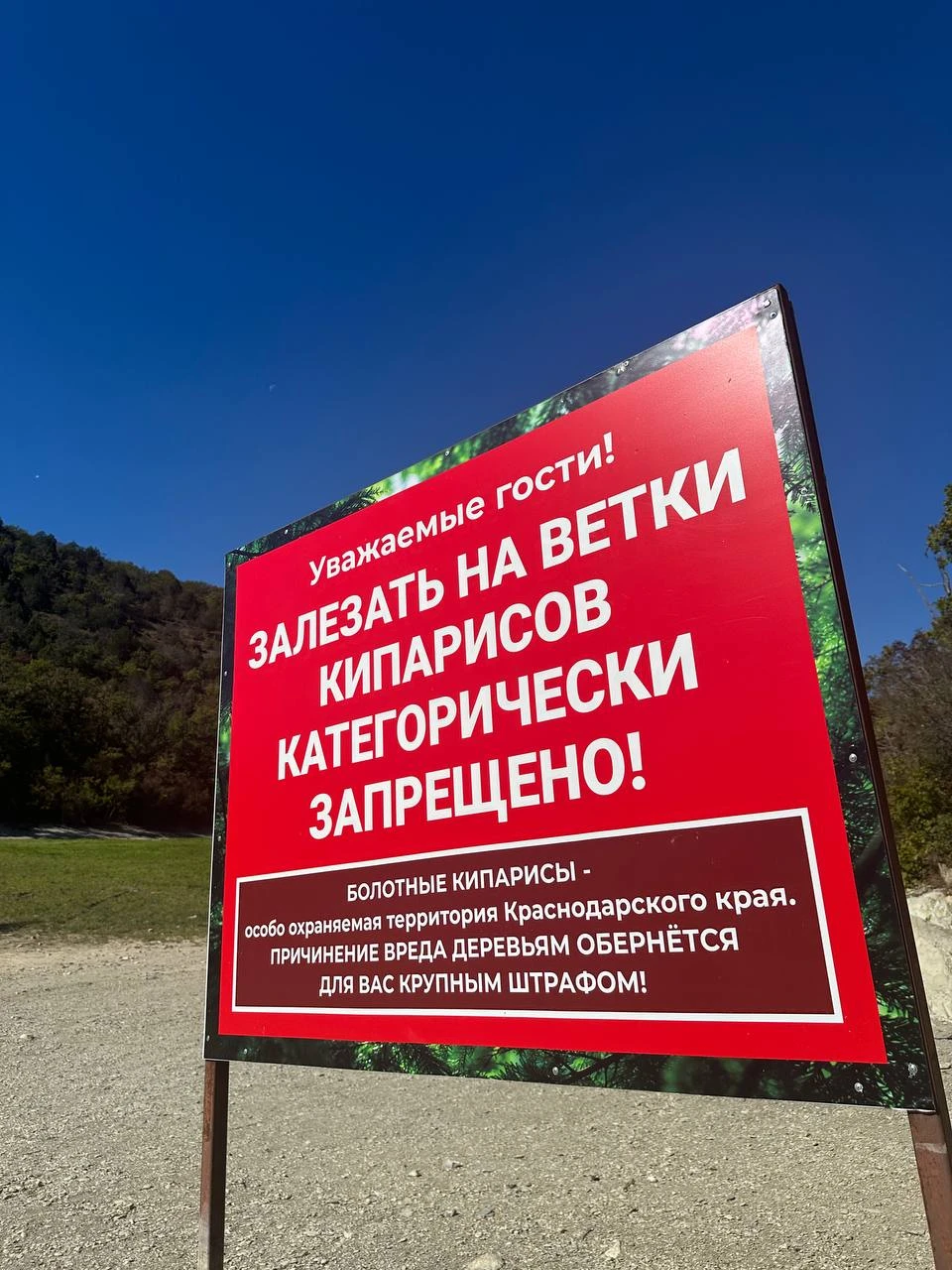 Кипарисовое озеро обмелело, и люди снова ходят по корням вековых деревьев 😡