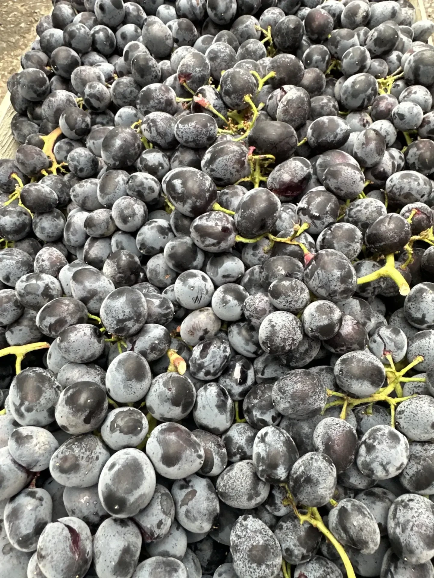 🍇✨ Эксклюзивно в Зеленом курьере! 🌿