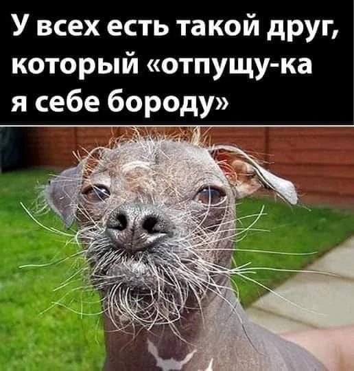 👉 Подпишись 👈