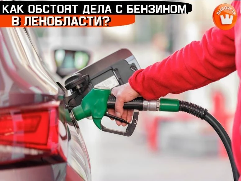 ❗️ Эксклюзивный комментарий вице-губернатора Ленобласти по экономическому развитию Егор...