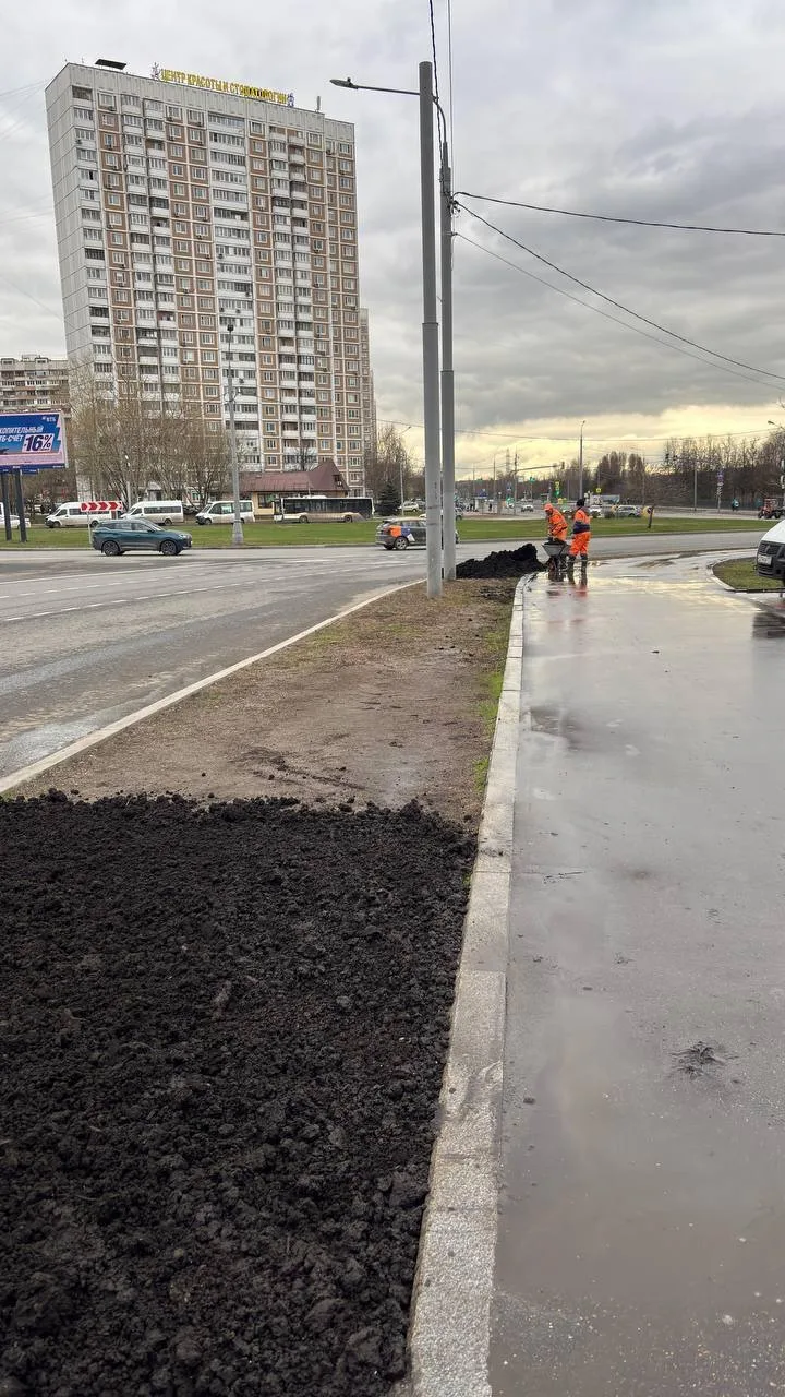 Газоны у метро приводят в порядок  У метро «Бульвар Дмитрия Донского» восстанавливают газоны вдоль д