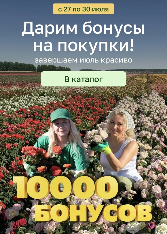 Сегодня последний день 😱 ночью бонусы сгорят!

Бонусами можно оплатить часть покупки любых растений