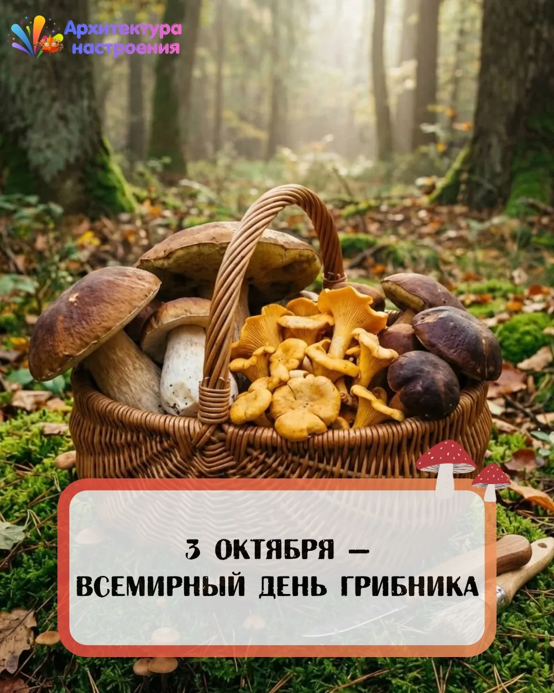 3 октября 🍄 Всемирный день грибника