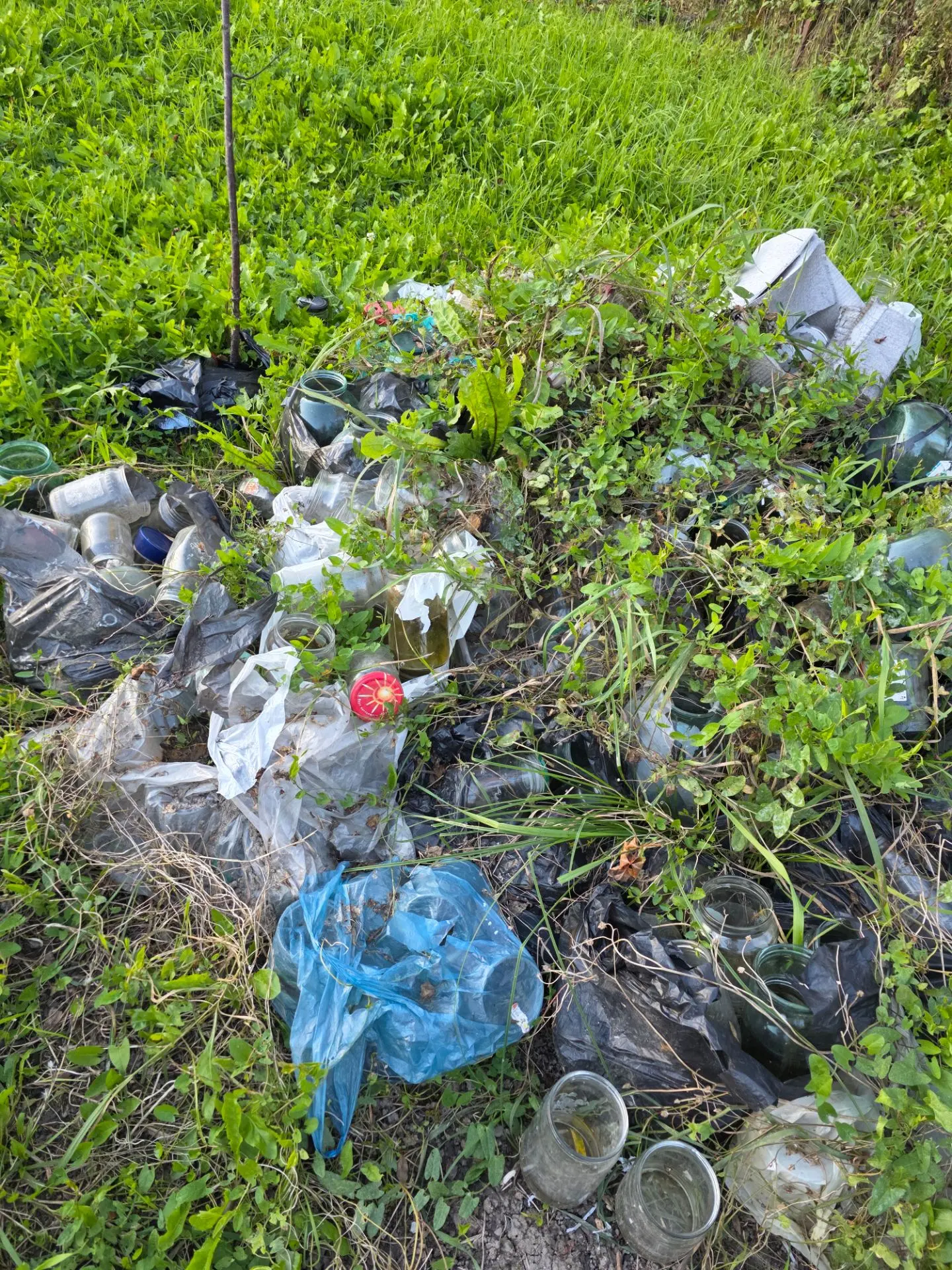 Отдадим банки, разного размера.  Приезжайте выбирайте и забирайте🙏