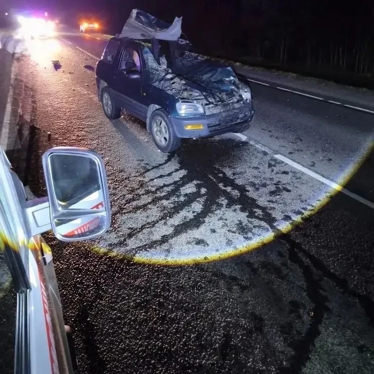 🚨 Женщина-водитель пострадала в аварии с лосем в деревни Куты  В ночь на четверг, 21 мая, около дере