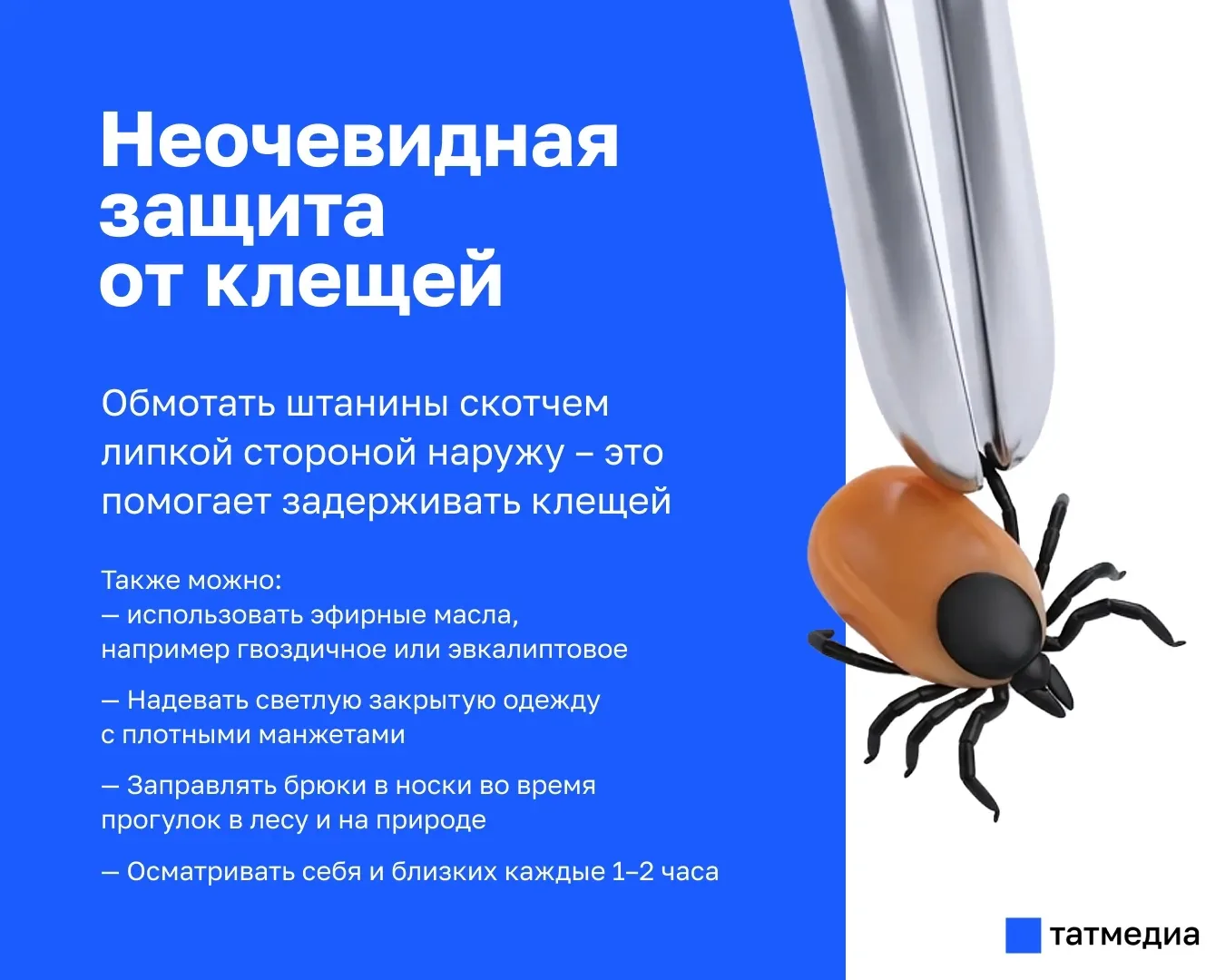 🕷🌿Как татарстанцам защититься от клещей  Врач рассказала о необычных способах защиты от клещей помим
