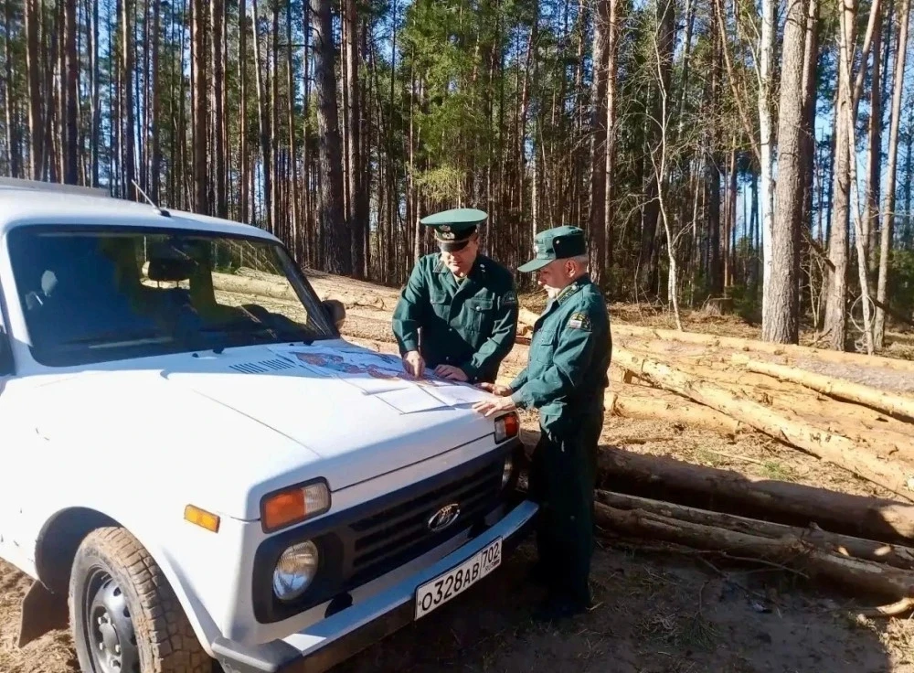 В Башкортостане продолжается операция «Лес».                                           ...