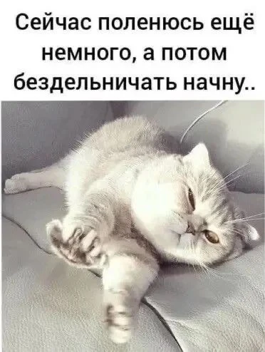 Как машину починят, сразу бездельничать буду. 🤣