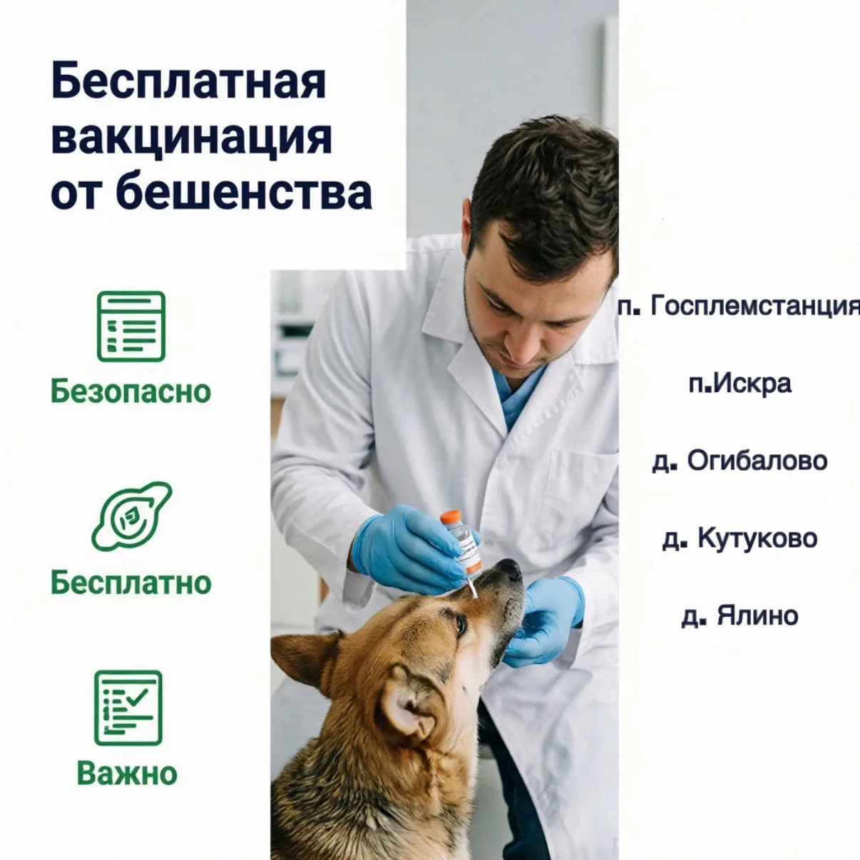 Важная информация для владельцев собак и кошек! 12 сентября специалисты Рязанской райве...