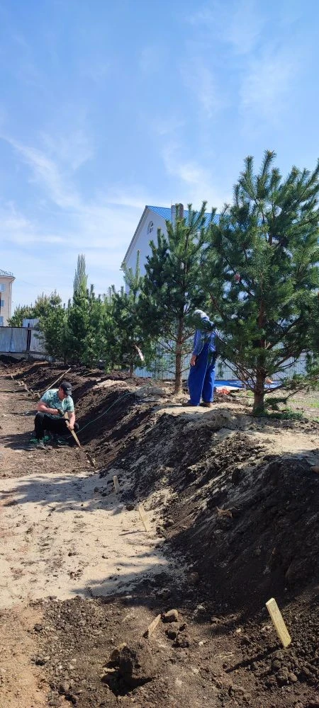 🏡На территории ЖК Ингарден выполнены работы по благоустройству: вдоль клумбы организац...