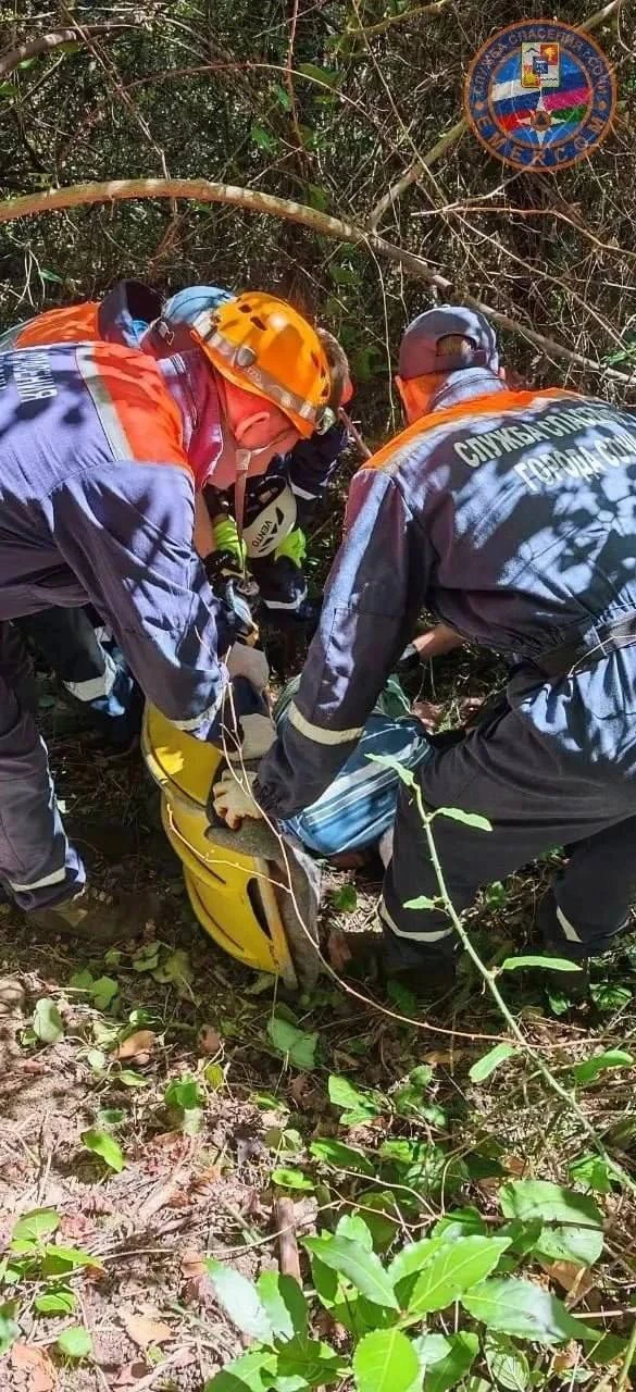 89-летний сочинец три дня провёл в лесу после похода за грибами.