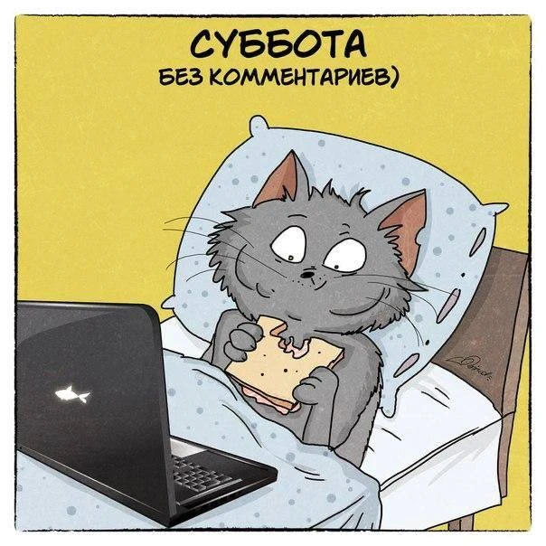 🏆 Субботняя семейная викторина: 10 вопросов для всей семьи!