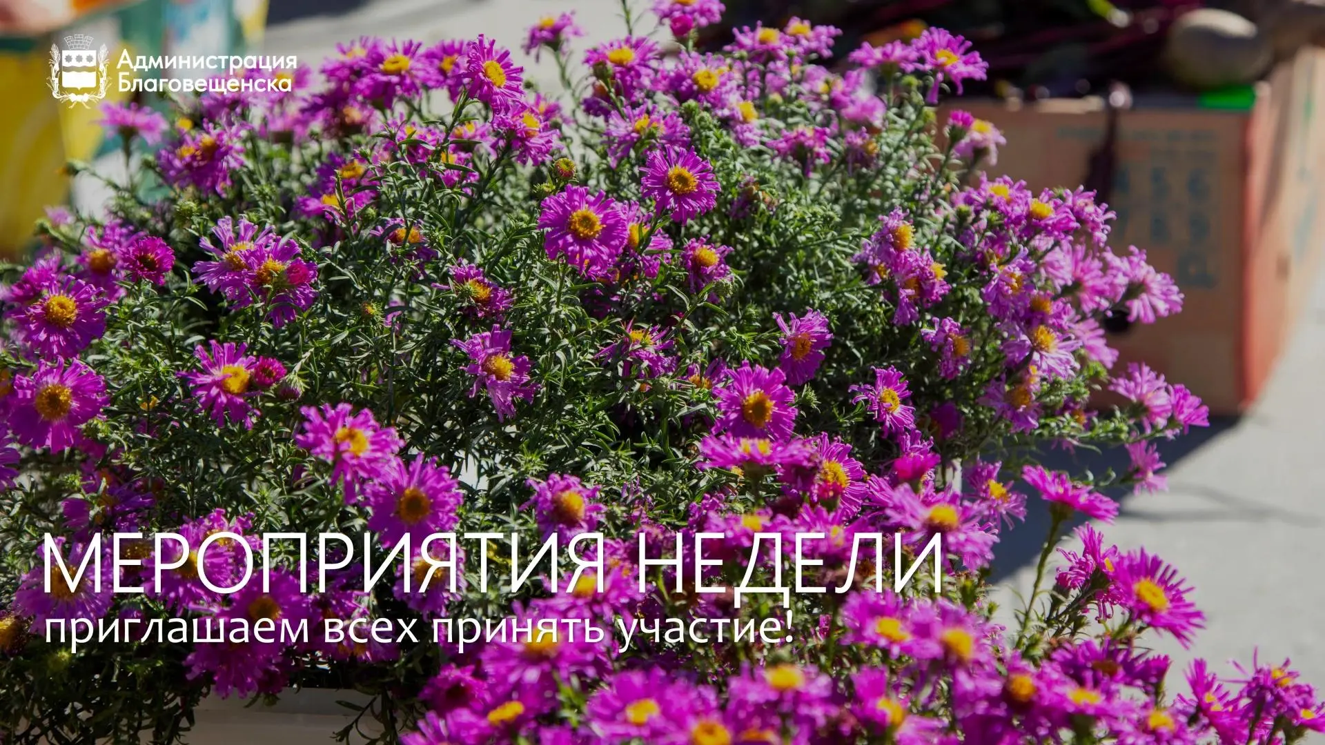 💻 Лекции о бизнесе, занятия по звукозаписи, интригующий спектакль и «Художка»: что жде...