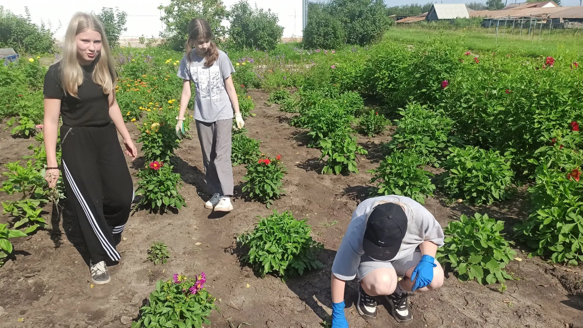 Готовимся к встрече с осенью! 🌿