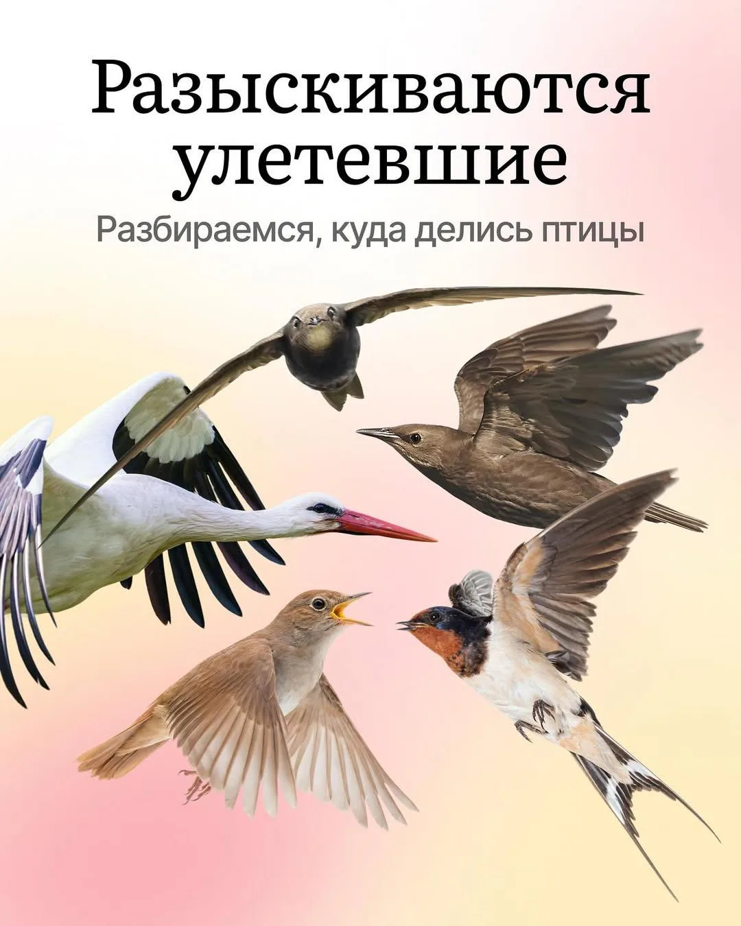 Теперь вы знаете чуточку больше 😉