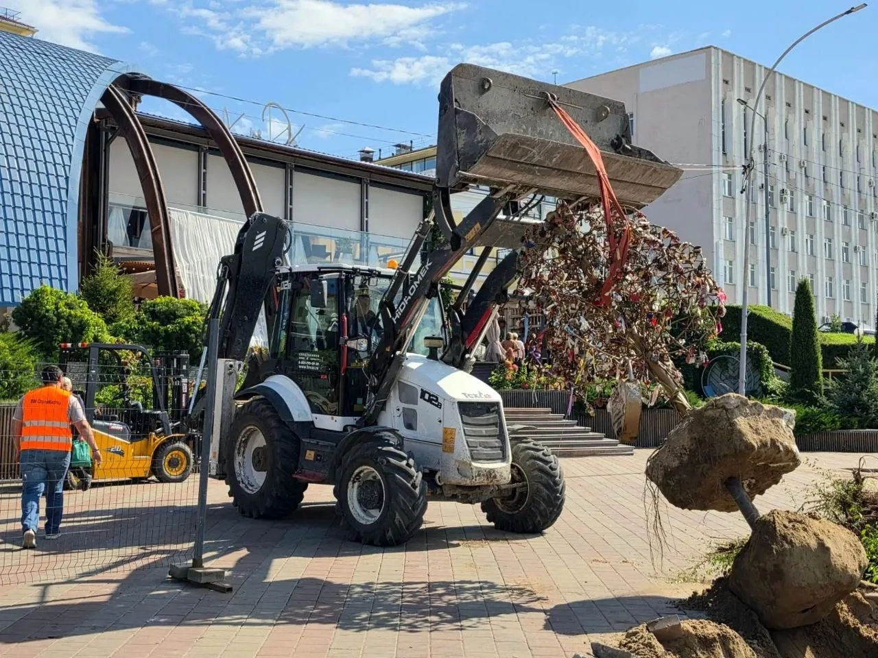 🌳 Дерево любви на набережной демонтировали, но оно останется в Омске!