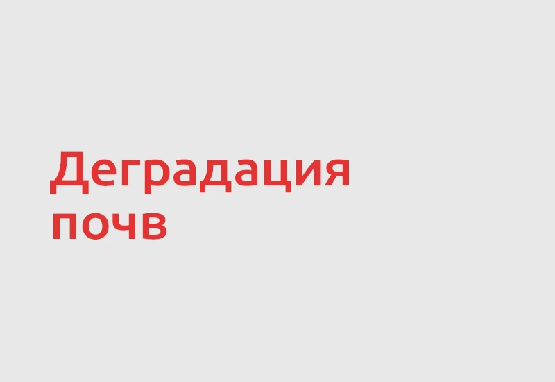 🌱 ФАО представила доклад «Состояние мировых почвенных ресурсов – 2026». По данным орга...