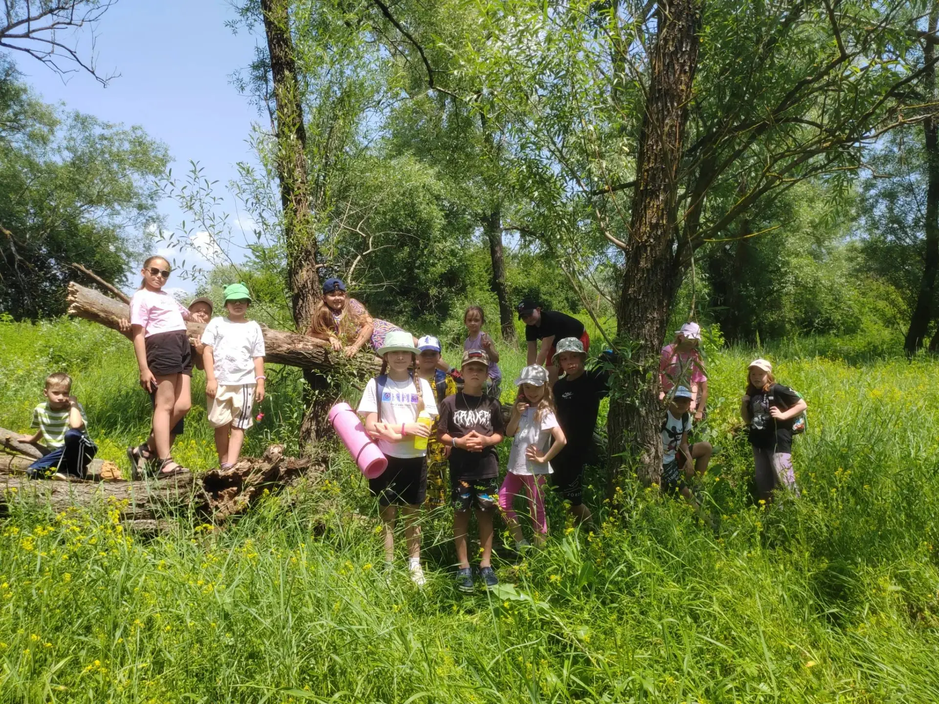 🌿Поход «Растения моей местности»: открываем привычное 
заново!🌿
Казалось бы, что может быть обычно