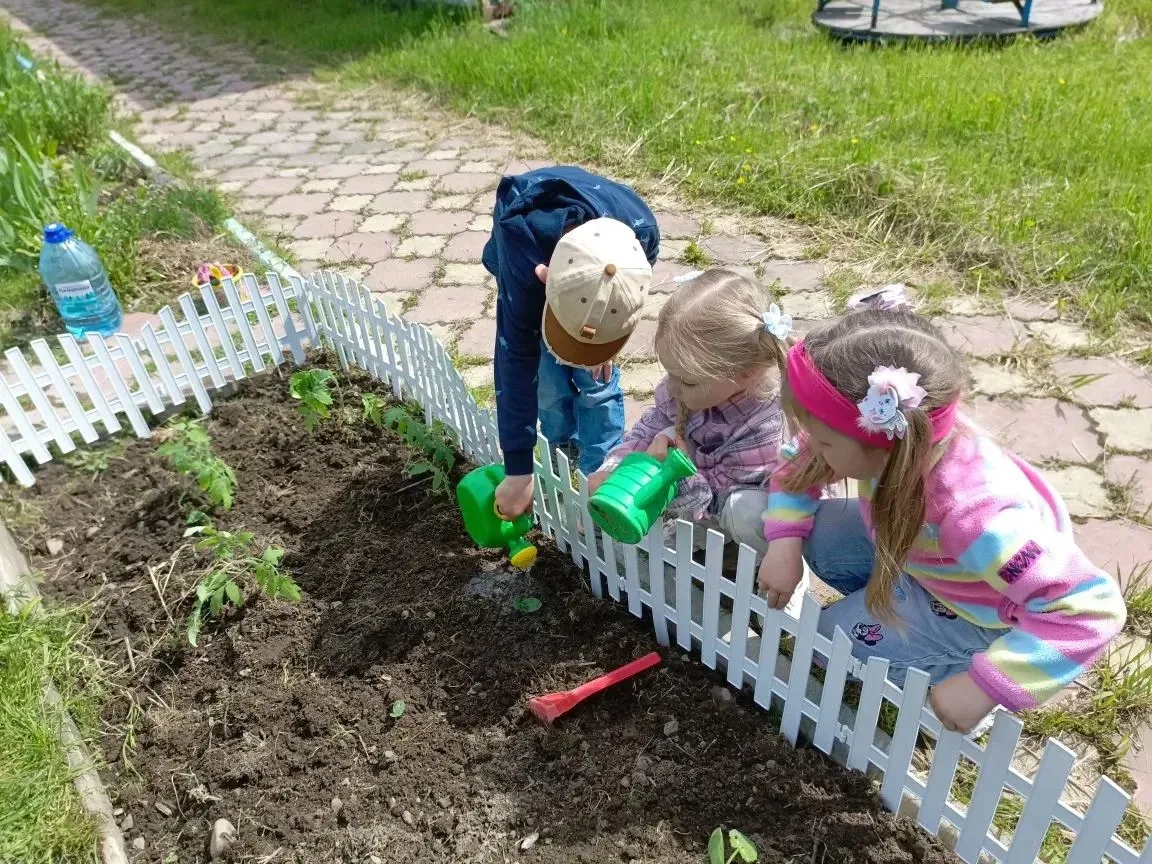 «Витаминный огород». 😍