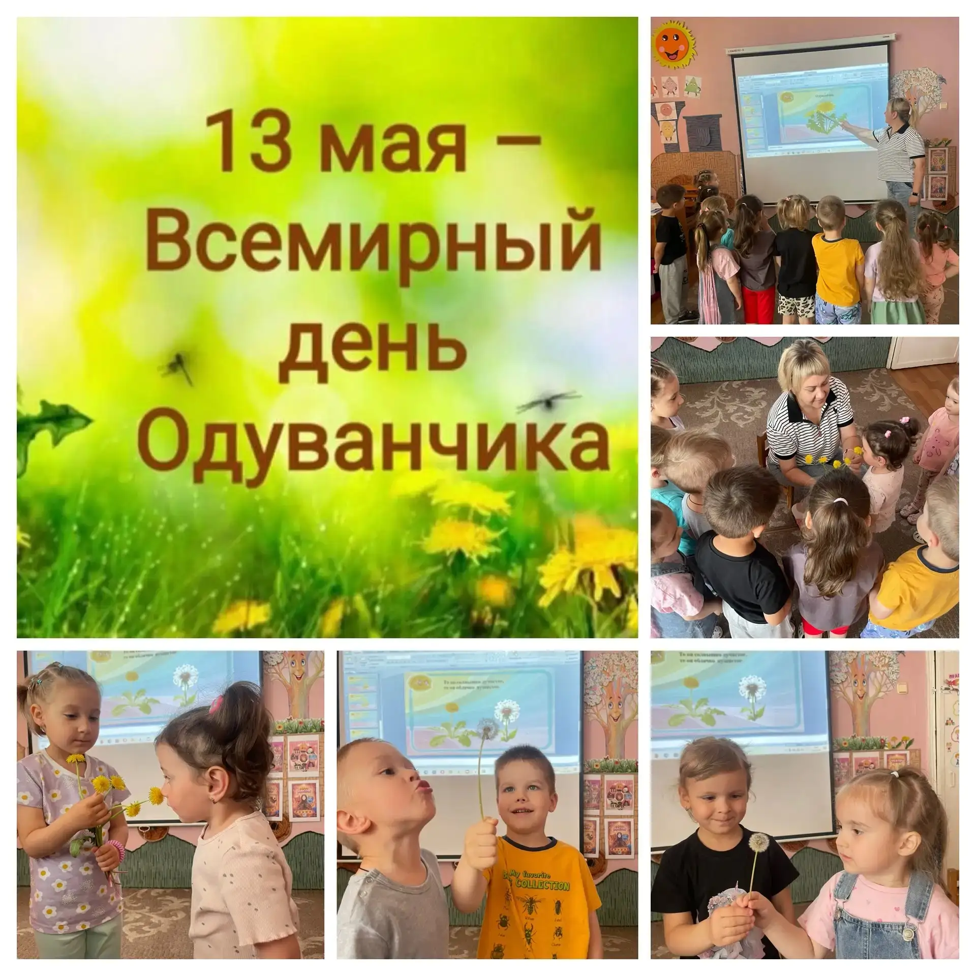 🤗 13 мая - Всемирный день одуванчика. Сегодня в младшей группе прошёл тематический ден...