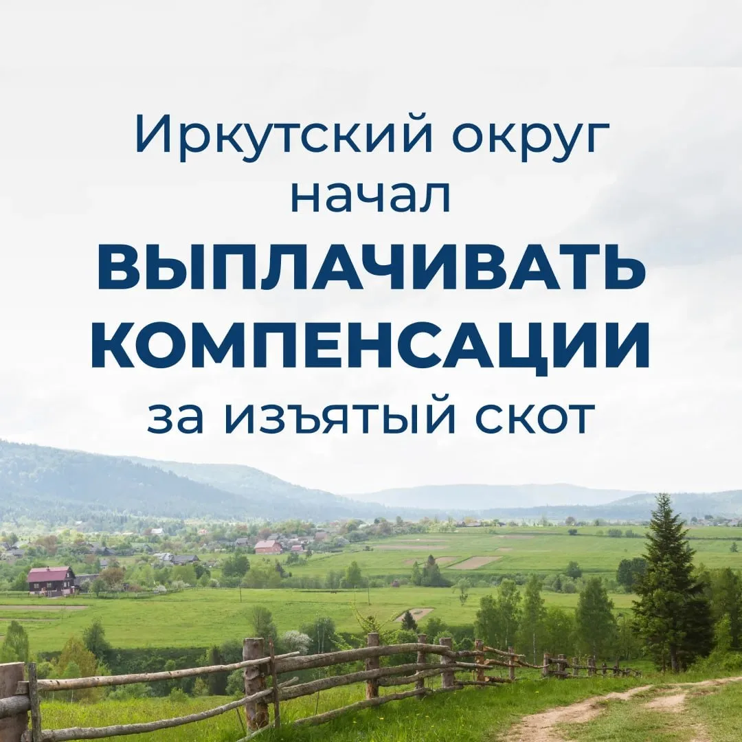 🐄 Владельцы изъятого скота начали получать компенсацию из резервного фонда Иркутского ...