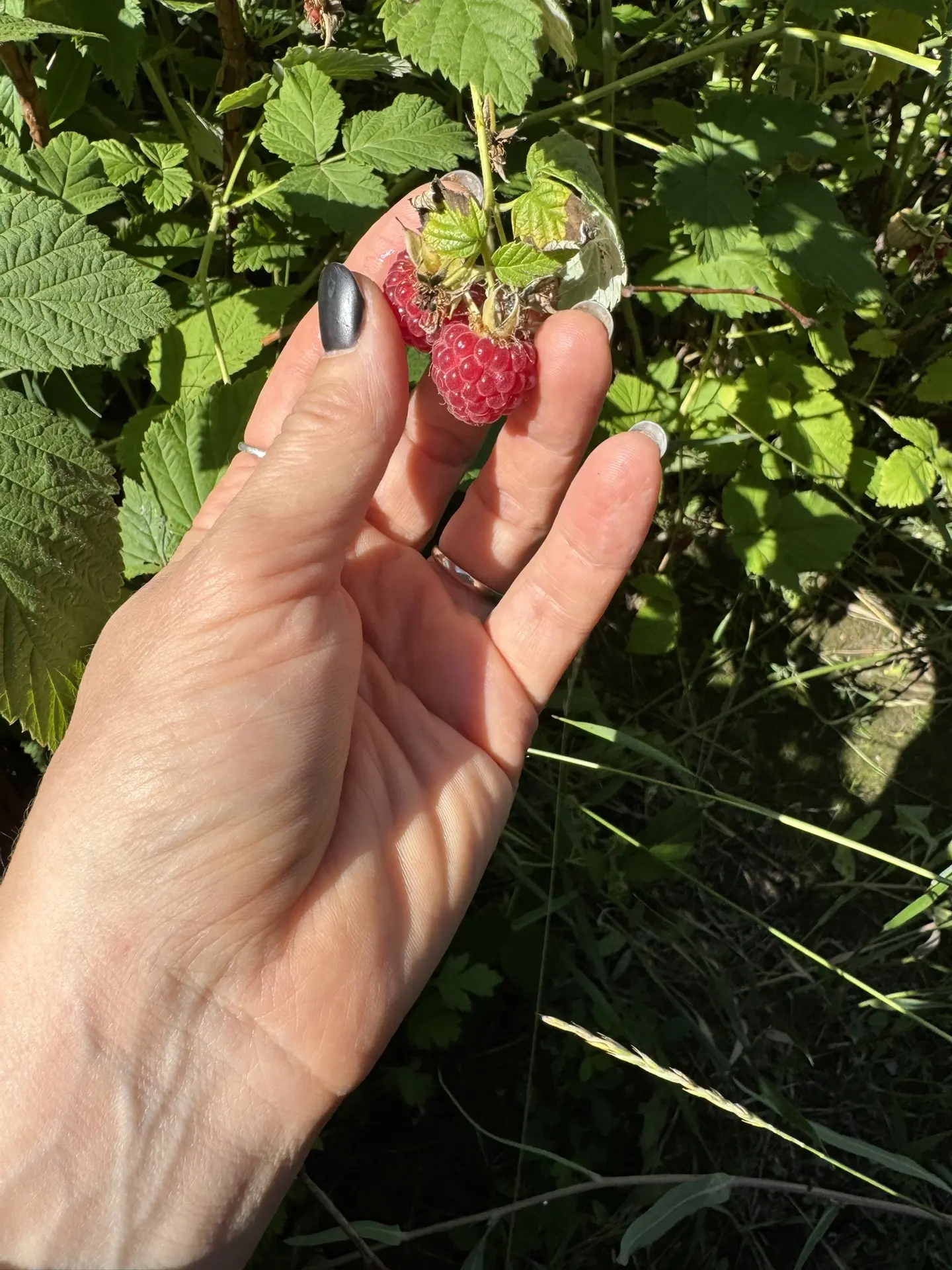Сначала съешь сама, потом собери мужу🥰🥰🥰