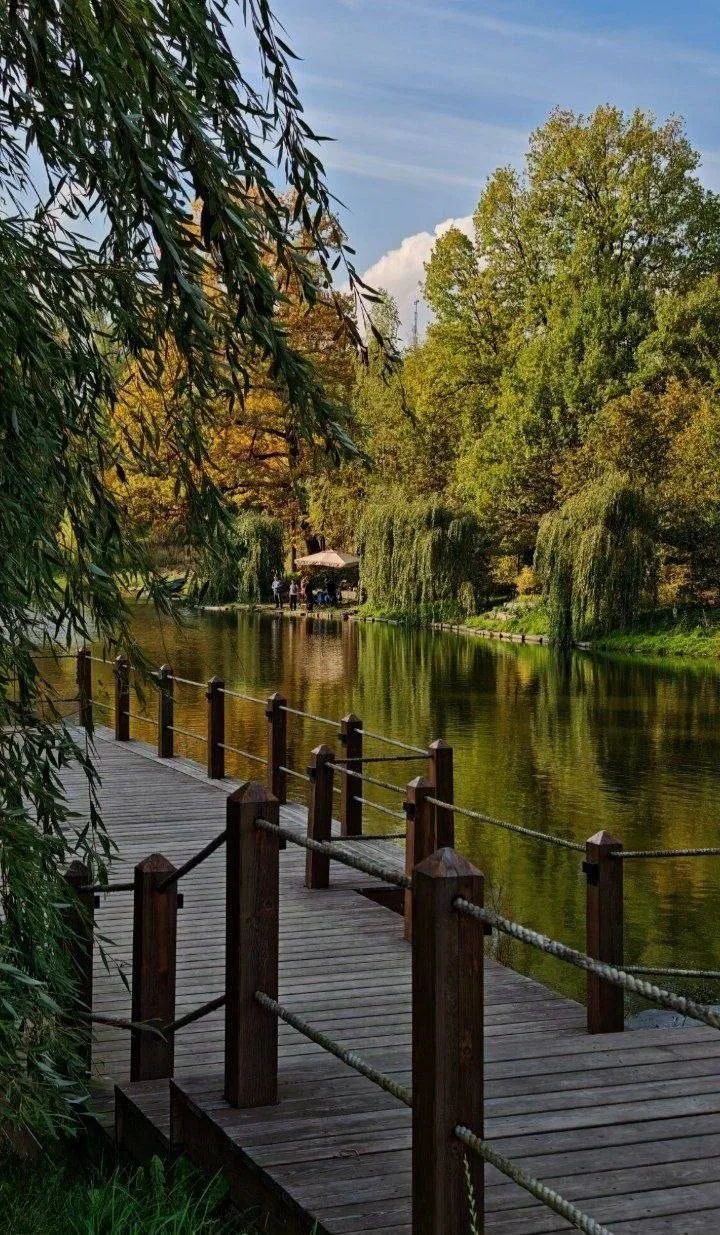 🌲 Лесопарк, где живут венценосные журавли