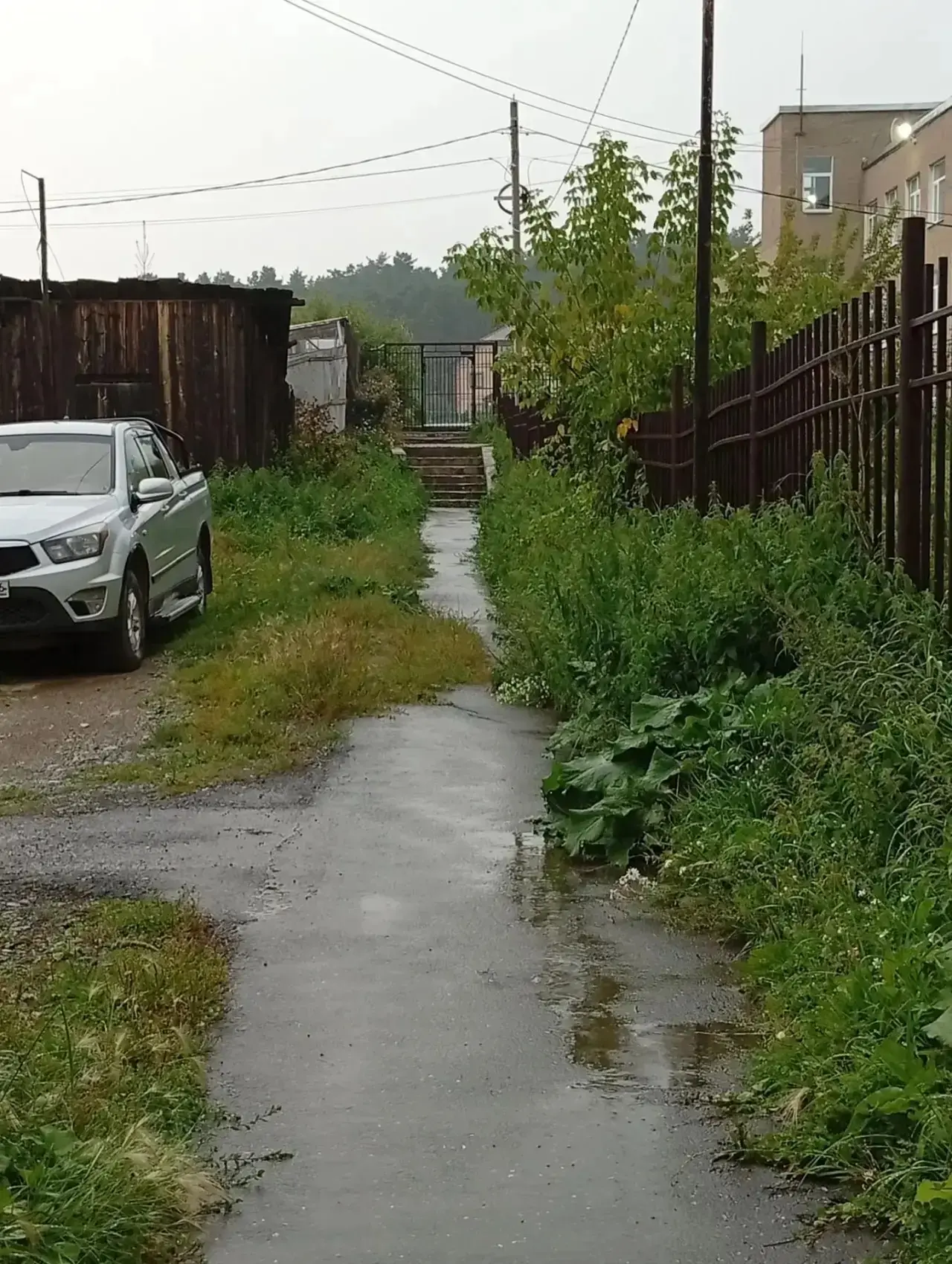 Скоро 1 сентября, а дорога в школу превращается в дремучий лес