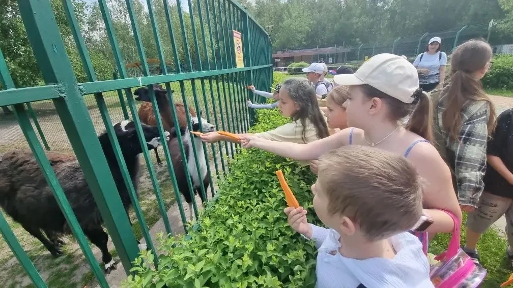 🌟🦒 УДИВИТЕЛЬНОЕ ПРИКЛЮЧЕНИЕ 3 «А»: ЭКСКУРСИЯ В ЗООПАРК! 🦜✨  В преддверии летних каникул ученики 3 «А