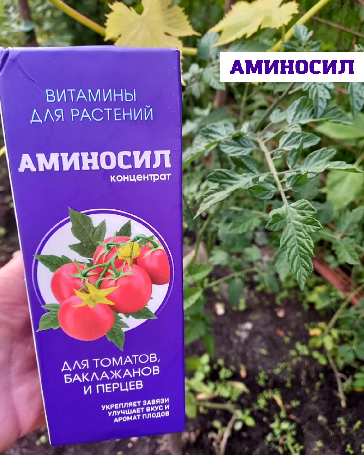🌱 Почему в середине июля растения начинают «уставать», даже если вы их поливаете?